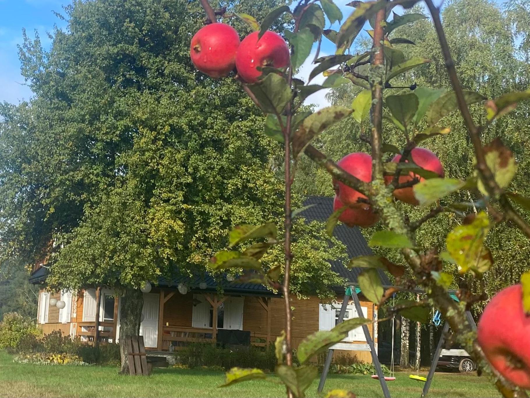 Wakacyjny Dom W Sakach Villa Kleszczele Exterior photo